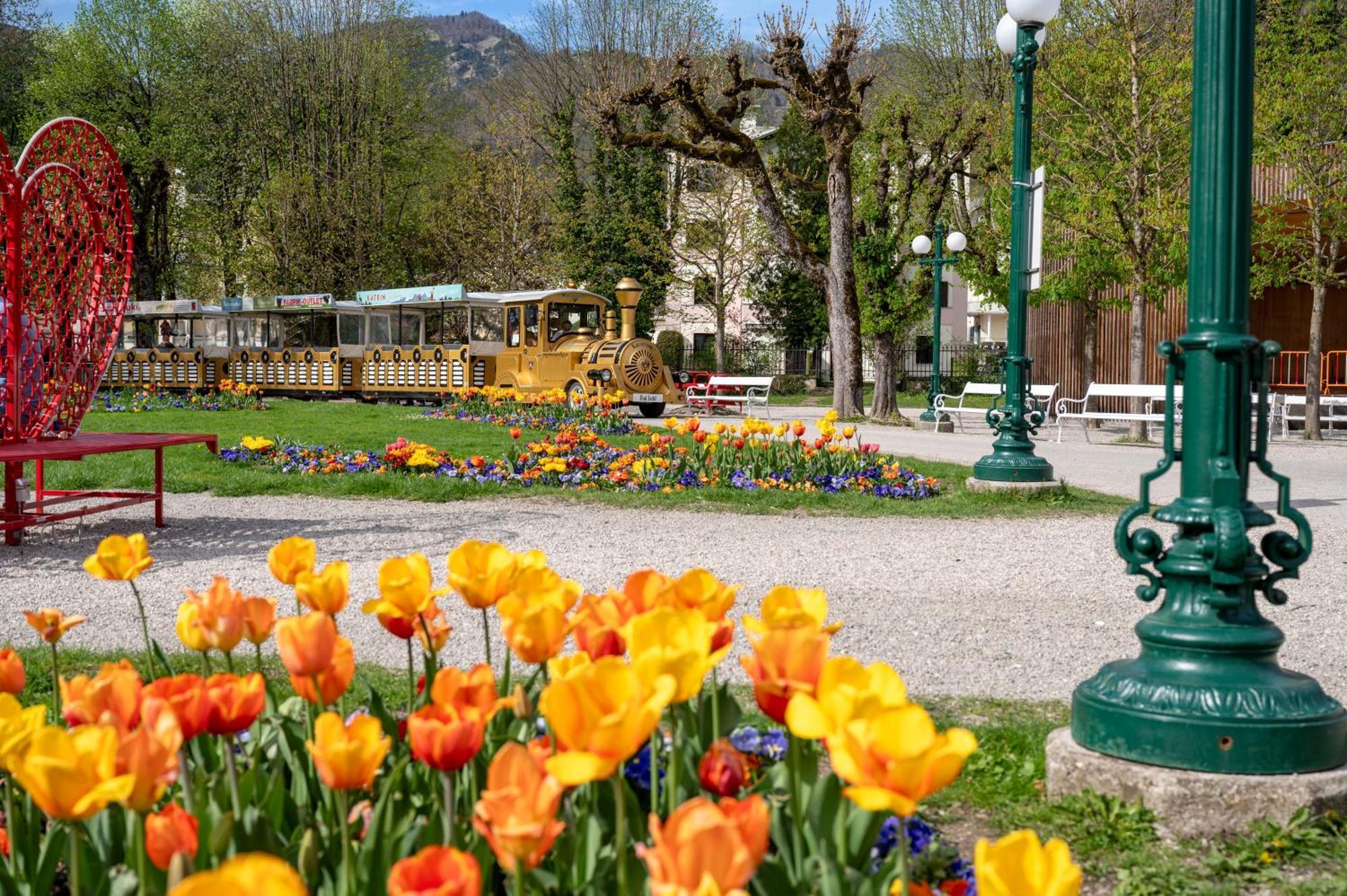 Cottage Bad Ischl Dış mekan fotoğraf